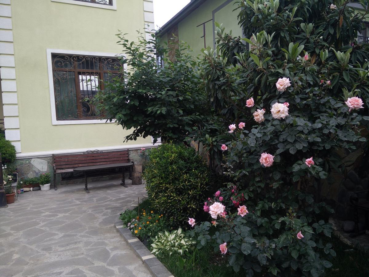 Hotel Mimino Τυφλίδα Εξωτερικό φωτογραφία